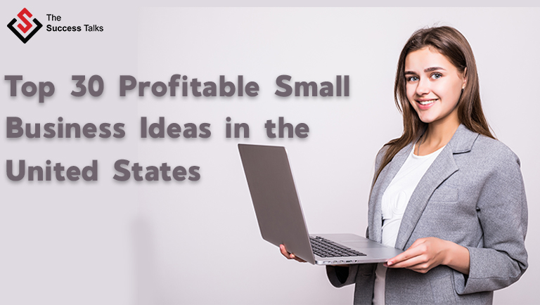 Profitable Small Business Ideas in the United States in 2023