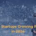 Top 3 Startups Growing Faster in 2024 8 Top 3 Startups Growing Faster in 2024