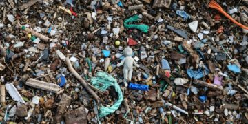 Microplastics Causing Health Issues in the Human Body
